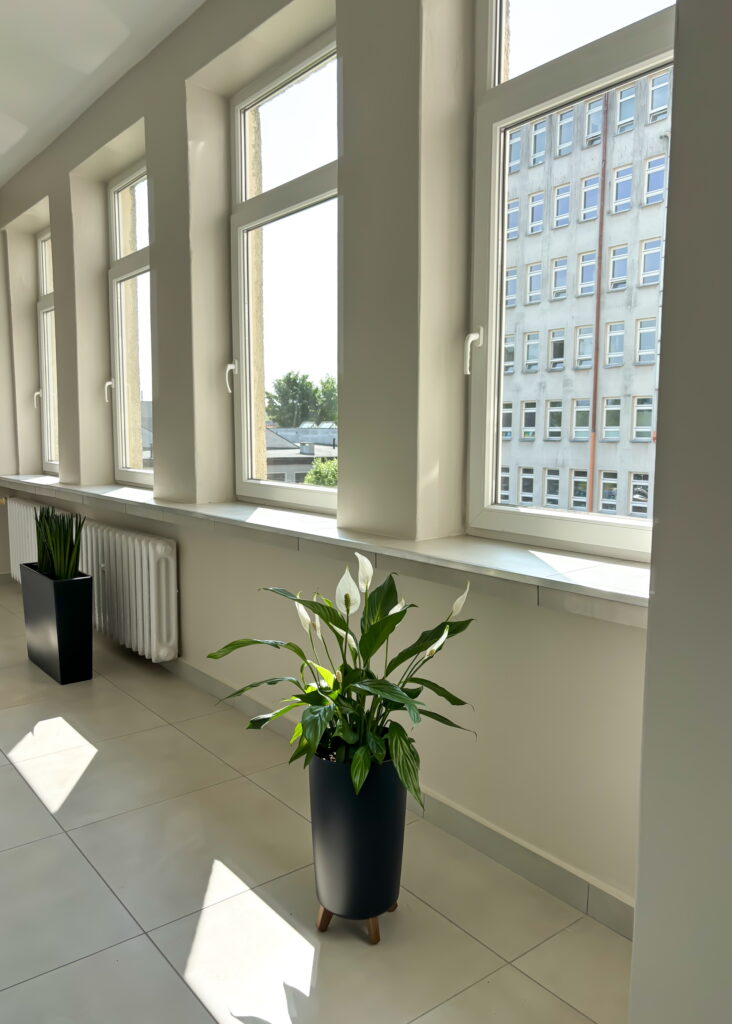 9F67D1B4 F1E2 4B94 89F8 89DC9F6702F2 732x1024