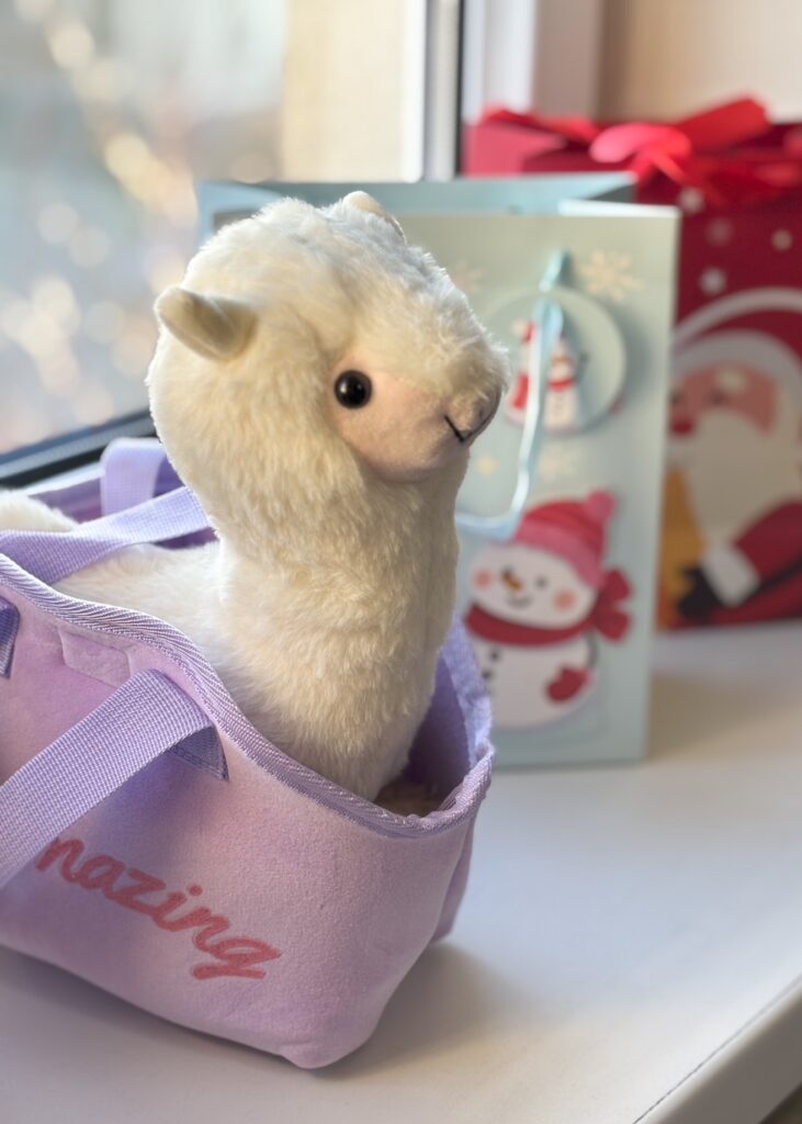 E314AB6A AB4B 41AC BD31 70757AE69D30 1 731x1024