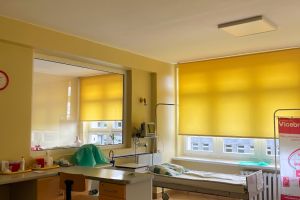 e195dba1632 4592 9117 a3e0509c198d scaled